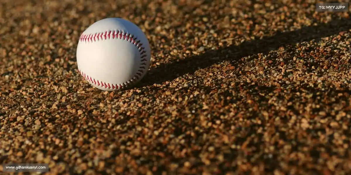 南宫NG28——聚体育力量，燃团队荣光！⚽